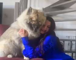She adopted a dog named Bumble in May 2021.